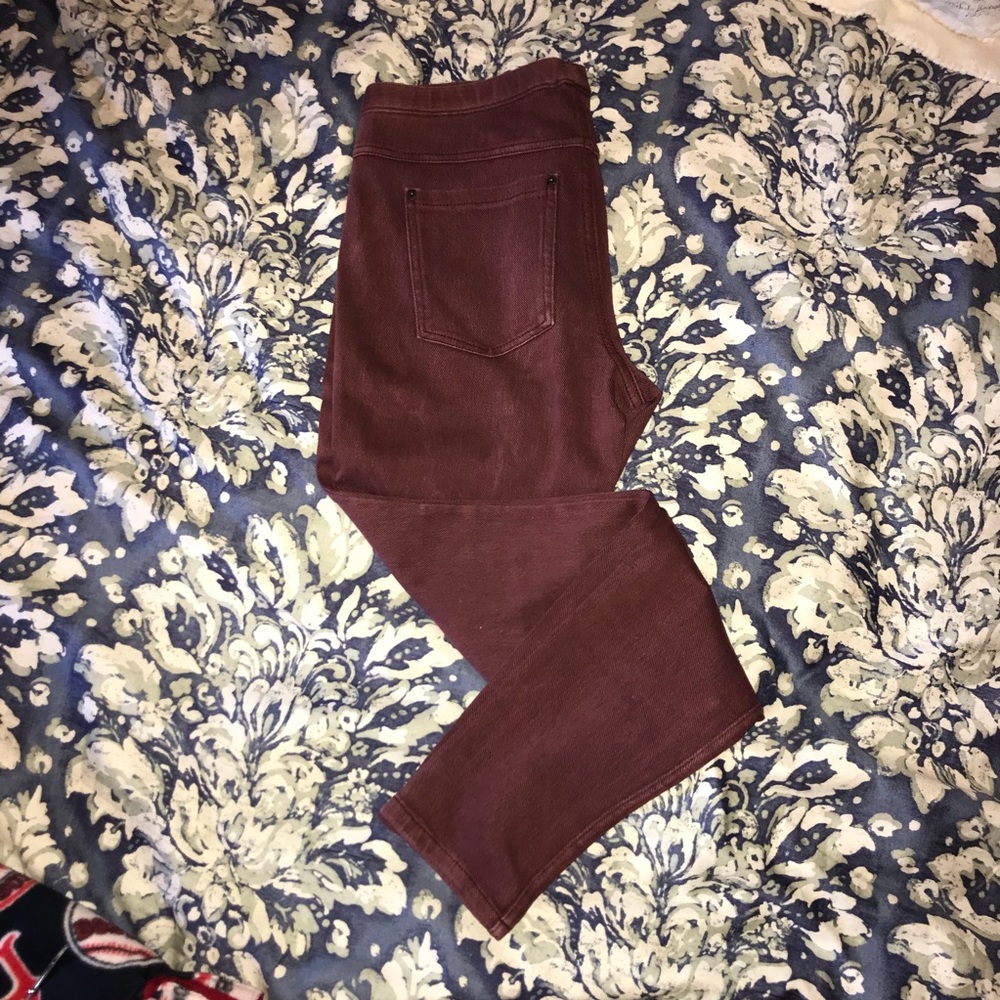 Hue Maroon Jeggings